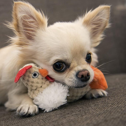 goDog Checkers Just for Me Fat Rooster Squeaky Plush Dog Toy, Chew Guard Technology - White, Mini