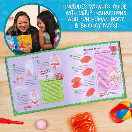 Wow in The World The Amazing Human Body Kit by Thames & Kosmos, Interactive Mechanical Anatomy Model w/Pumping Heart, Lungs, Digestive Tract, Glow-in-The-Dark Bones, Brain & More, Science for Ages 4+