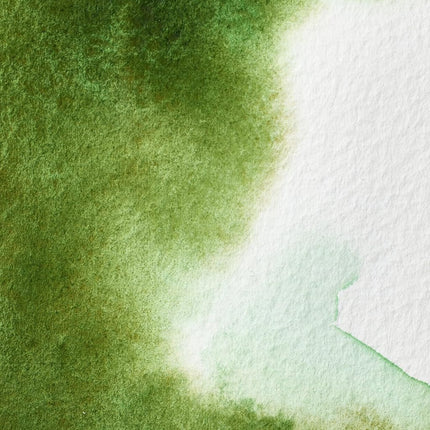 Winsor & Newton Half Pan Professional Water Colour, Permanent Sap Green