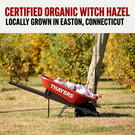 Thayers Witch Hazel Coconut Water Facial Toner 355 ml