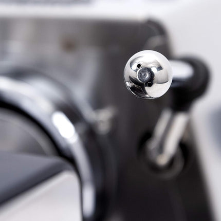 Gaggia RI9380/46 Classic Evo Pro, Petit, Acier inoxydable brossé