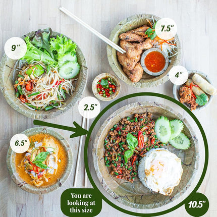 TAPARI Jumbo Disposable Plates - 20 Pack Jumbo Leaf Plates - 10.5 Inch Diameter - Strong & Eco-Friendly - 100% Compostable & Biodegradable Heavy Duty Disposable Plates - Bulk Party Plates - Sal Leaf