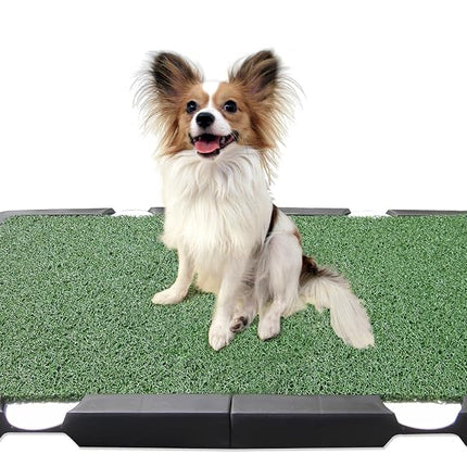 Spotty Indoor Potty Pad, House Training Pet Puppy Dog Artificial Grass Turf Pee Mat