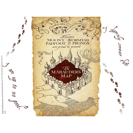 Gobelet Tervis Harry Potter Carte des Maraudeurs avec couvercle marron, 710 ml, transparent
