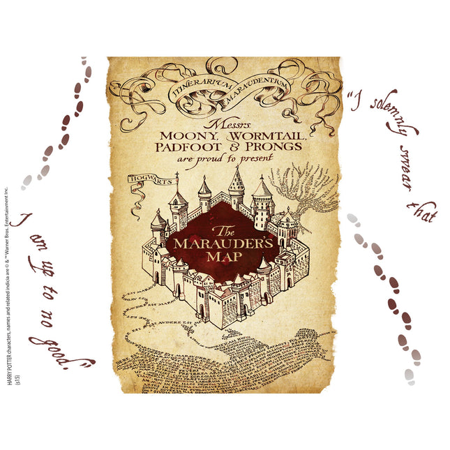 Tervis Harry Potter Marauders Map Individual Wrap Tumbler with Brown Lid, 24 oz, Clear