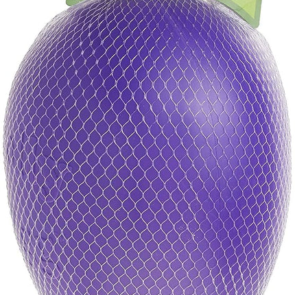 Jolly Pets Egg Dog Toy, 30 cm, Purple