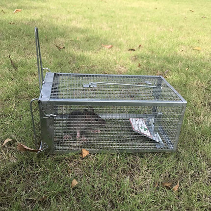 Kensizer Small Animal Humane Live Cage Rat Mouse Mice Chipmunk Rodent Voles Hamsters Trap That Work for Indoor and Outdoor, Catch and Release…