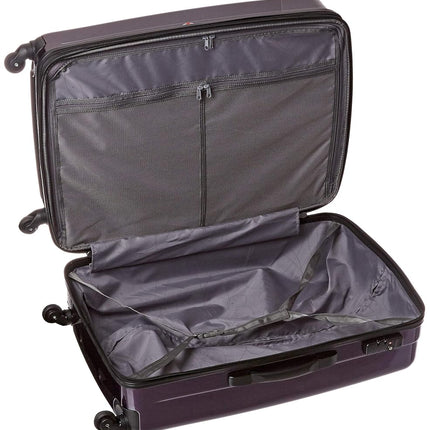 Samsonite Winfield 2 Hardside Luggage, Purple, Checked-Large 28-Inch, Winfield 2 Hardside Expandable Luggage with Spinner Wheels