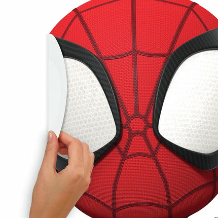 RM - Marvel Spidey & his Amazing Friends