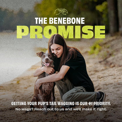 Benebone 2-Pack Rubber Ball
