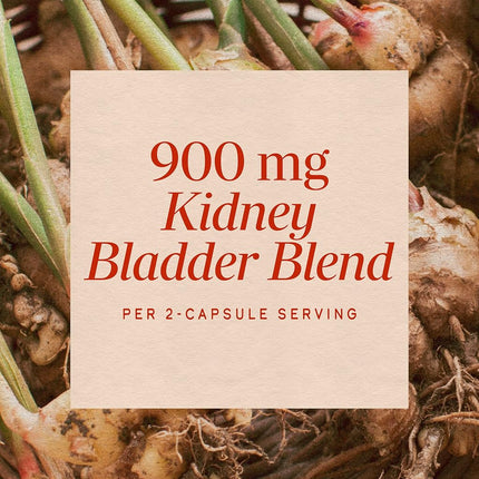 Nature's Way Kidney Bladder, 465 mg per capsule, 100 Vcaps