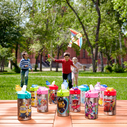 Zak Designs Frozen 15.5oz Stainless Steel Kids Water Bottle with Flip-up Straw Spout - BPA Free Durable Design, Frozen Girl SS
