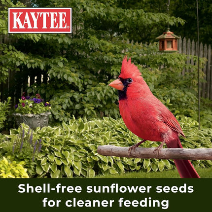 5.5LB WastFre Bird Food