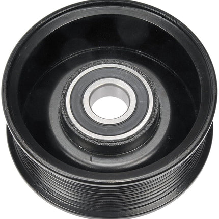 Dorman 419-655 Polea tensora de correa de transmisión