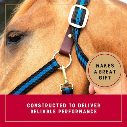Weaver Leather 35-6065-BL Padded Breakaway Adjustable Chin & Throat Snap Halter, 1" Average Horse or Yearling Draft, Blue Striped