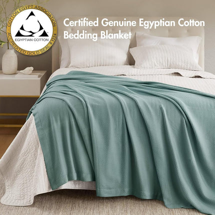 Madison Park 100% Egyptian Cotton Lightweight Summer Blanket, Breathable Waffle Knit Design, Soft Cozy All-Season Throw for Bed, Couch or Sofa, Teal Full/Queen Size (90"x90")