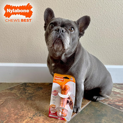 Nylabone Limited Edition 70th Birthday Original Bone Power Chew Toy for Dogs, Durable & Tough Dog Toys for Aggressive Chewers, Roasted Chicken Flavor, Medium - Up to 35 lbs (1 Count)