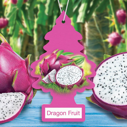 LITTLE TREES Dragon Fruit Car Air Freshener, 24 Hanging Trees, Long Lasting Scent for Auto or Home