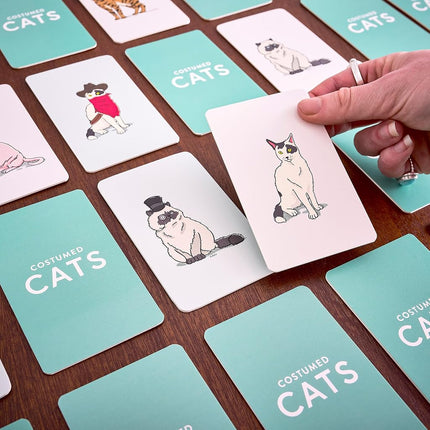 Ridley's Costumed Cats Memory Card Game