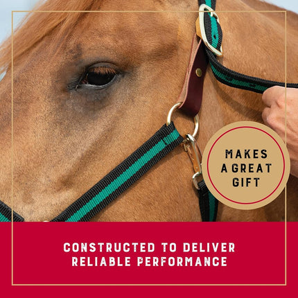 Weaver Leather 35-6065-GR Padded Breakaway Adjustable Chin & Throat Snap Halter, 1" Average Horse or Yearling Draft, Green Striped