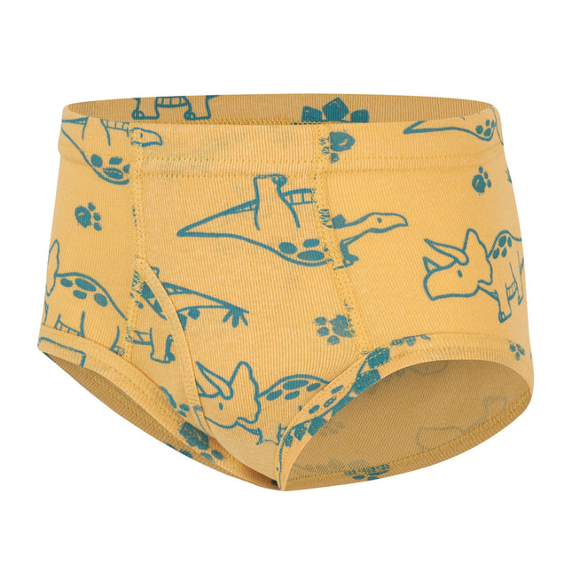 Hanes Sous-vêtements pour tout-petits en coton biologique, Boxer et Slip Pur Confort pour Tout-Petits, Lots Multiples
