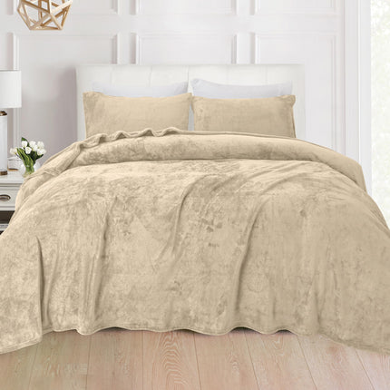 Elegant Comfort Luxuriously Soft 4-Piece Velvet Plush Flannel Sheet Set - Premium Quality - Cozy Warm, Anti-Static, Non Pilling Fuzzy Velvet Flannel Fleece Deep Pocket Sheet Set - Twin XL, Cream