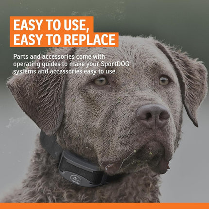 SportDOG Brand Long Contact Points – 5/8 Inch Replacement Probes for SportDOG E-Collars - Longer Length for Thick Coats