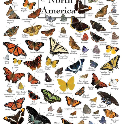 MasterPieces Rompecabezas de 1000 piezas para adultos - Mamíferos del Parque Nacional de Yellowstone - Rompecabezas de Parques Nacionales 19.25"x26.75"