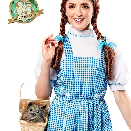 Rubies Official 887378 Wizard of Oz - Dorothy Costume - Teen - Blue/white Halloween