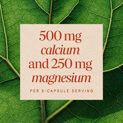Nature's Way Calcium and Magnesium, 250 Capsules