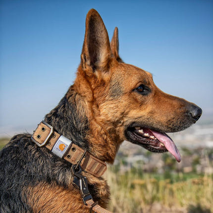 Carhartt Pet Fully Adjustable Wide Webbing Collar for Dogs, Heavy Duty Nylon for Walking & Training, Deep Wine, Large