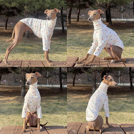 D Doggy Star Italian Greyhound Clothes Flexible T Shirts Whippet for Dogs (2XL,Alphabet Ivory)