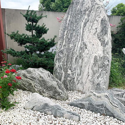 FANTIAN Natural Polished White Pebbles - Smooth Small River Rocks for Plants, Aquariums, Vase Fillers and Fairy Garden (5, Medium)