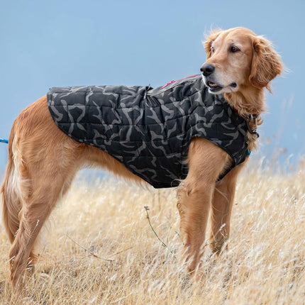 Kurgo Loft Dog Jacket, Reversible Dog Coat, Wear with Harness or Sweater, Water Resistant, Reflective, Winter Coat for Small Dogs (River Run, S)
