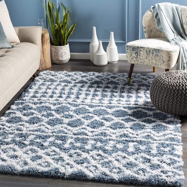 Livabliss Hapsburg Moroccan Shag Area Rug, 2' x 2'