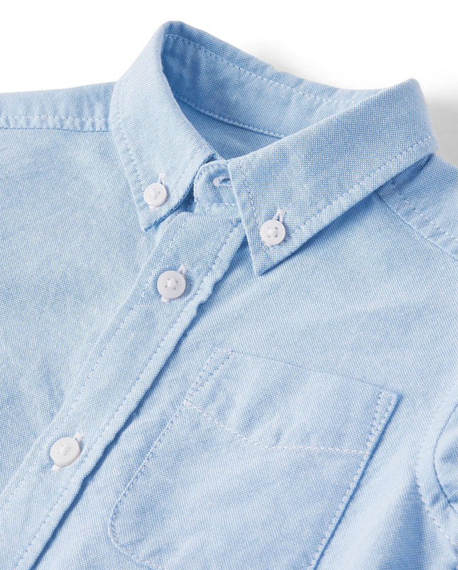 The Children's Place Baby Boys Long Sleeve Oxford Button Down Shirt, Lt Blue Single, 2