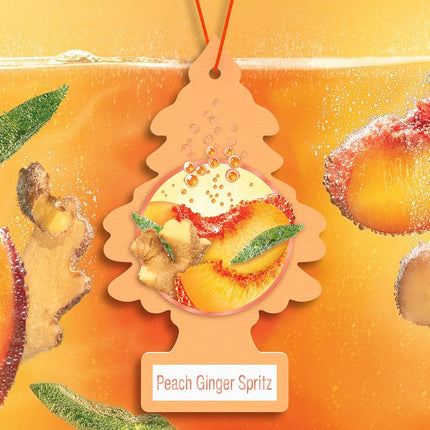 LITTLE TREES Car Air Freshener | Hanging Tree Provides Long Lasting Scent for Auto and Home | Peach Ginger Spritz, 24 Air Fresheners