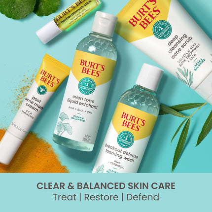 Burt's Bees Tratamiento Herbal para Imperfecciones, 0.26 onzas líquidas (Paquete de 2)