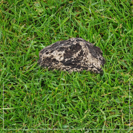 Ram-Pro 2Pc Hide-a-Spare-Key Fake Rock - Looks & Feels Like Real Stone - Safe for Outdoor Garden or Yard, Geocaching
