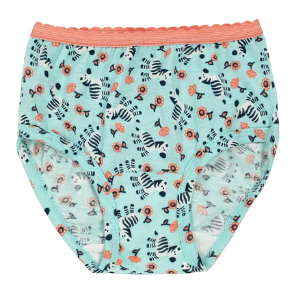 Fruit of the Loom girls12GBRTBToddler Girls' Brief (Pack of 12) Panties - multi - 4-5 Years
