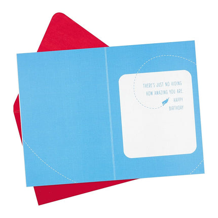 Hallmark Signature Birthday Greeting Card for Him (Superman Silhouette)