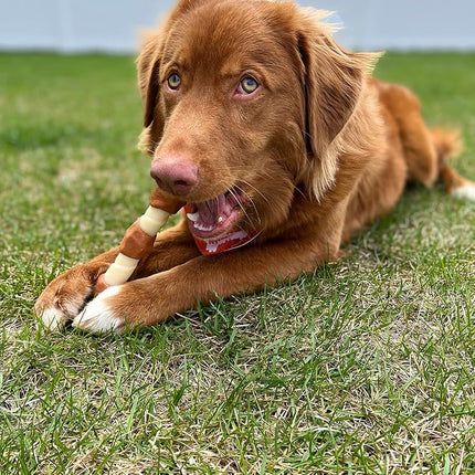 Nylabone Power Chew Shish Kabob Alternative Nylon Chew Toy, Chicken Jerky, Giant