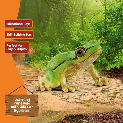 Schleich Wild Life - European Tree Frog Toy Figurine - Kids Ages 3+ | 14882