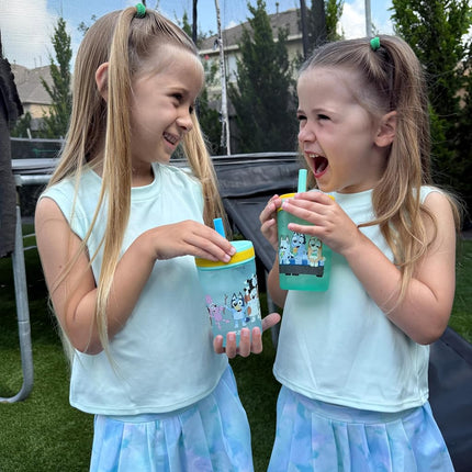 Zak Designs Bluey Kelso 15oz Leak-Proof Toddler Straw Cups, 2-Pack