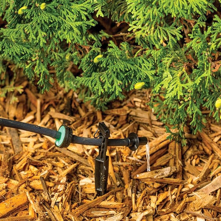 Rain Bird CVD2010PKXS Drip Irrigation Dripper/Emitter with Built-In Check Valve, 2 Gallon Per Hour, 10-Pack, Black/Green