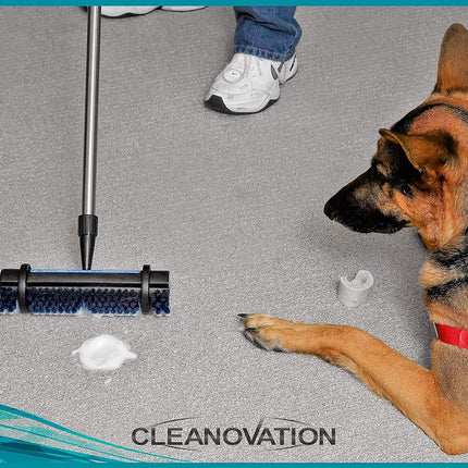 CLEANOVATION Renovador de alfombras/Cepillo de limpieza de alfombras