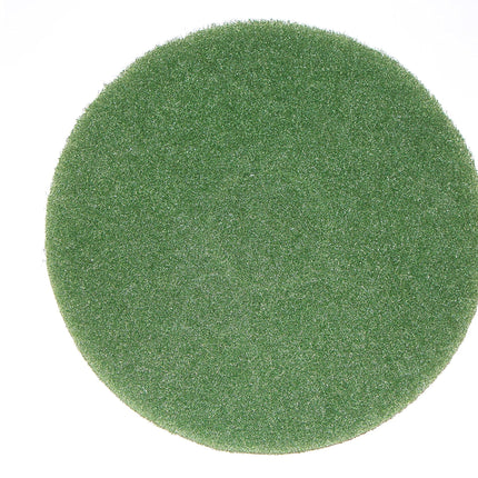 BISSELL BigGreen Commercial 437.056BG-C Cleaning P