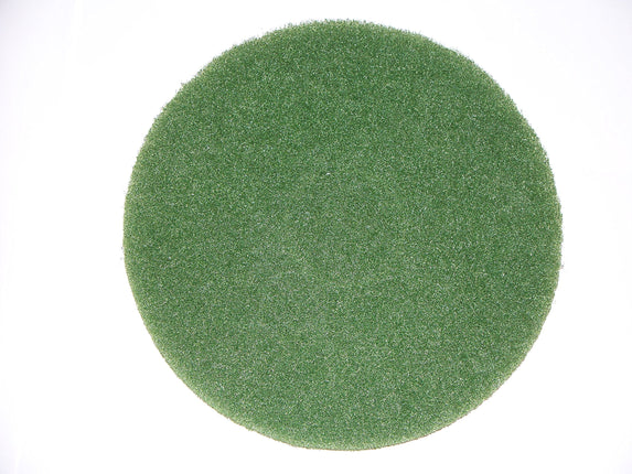 BISSELL BigGreen Commercial 437.056BG-C Cleaning P