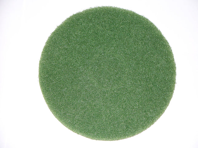 BISSELL BigGreen Commercial 437.056BG-C Cleaning P
