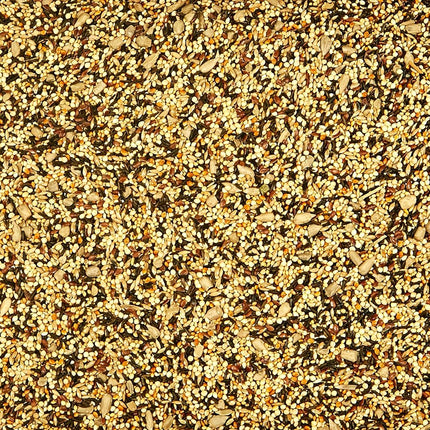 Kaytee Products Wild Bird 100033730 Kaytee Wild Finch Food 5 Pound